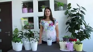 Кружевные горшки - Ажурный узор и широкая цветовая гамма
