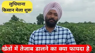 खेतों में तेजाब डालने का क्या फायदा है लुधियाना किसान मेला शुरू