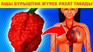 АЩЫ БҰРЫШТЫ ЖЕСЕҢ МИЫҢ ТОҚТАМАЙ ІСТЕЙДІ ДЕП ОЙЛАППЫН ҒОЙ, Ащы бұрыштың пайдасы, Керек арнасы