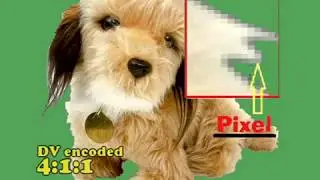Why Use Chroma Blur in Vegas Pro  2010