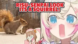 Fuwamoco instantly call Risu whenever they saw a SQUIRREL during their central park date