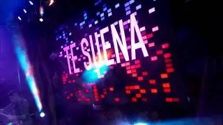CÓMO ESTÁS / DISFRUTO -  Grupo Te Suena!