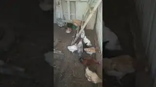 Степан, А что Степан. у Степана всё отлично 😄✌️