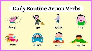 Daily Routine vocabulary | action verbs | vocabulary english