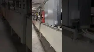 Biscuit production line