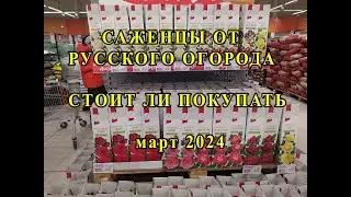 Саженцы роз от Русского огорода