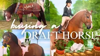 The Draft Of My Dreams! ✨ Looking For A BIG Friend II SSO RRP