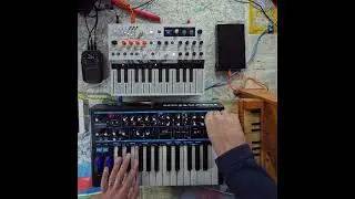 Novation BS2 and microfreak white jam