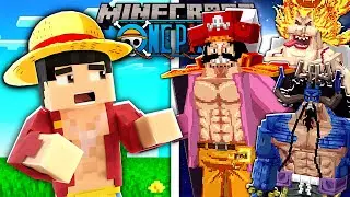 This Changes One Piece Minecraft FOREVER