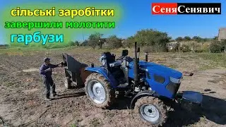 Закінчили молотити гарбуз на насіння КОМБАЙНОМ МОРОЗА і ДТЗ 354U, гарбуз як варіант заробітку в селі