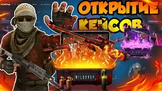 WILDDROP ОТКРЫТИЕ!НАШЁЛ БАГАНЫЙ КЕЙС НА WILDDROP!+ ПРОМОКОД НА 30%!WILDDROP  ПРОВЕРКА САЙТА!