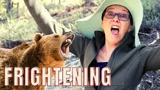 The TERRIFYING STORY of the All Night Bear Raid 😱