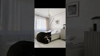 Прода по просьбе вас#коты#мем#мемные#