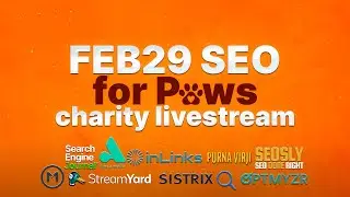 About SEO Charity and SEO for Paws by Anton Shulke