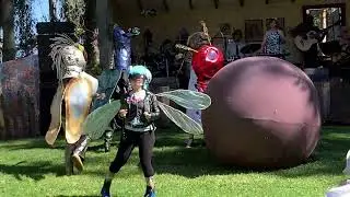 Raining Chainsaws Live at Hardly Strictly Bluegrass 2024 Horseshoe Hill Stage with Mission Delirium