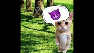 BANANA CAT  🍌🐱 BABY BREEDS WATERMELON AND GETS STOLEN 