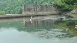 озеро Сюаньуху 玄武湖