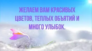«С праздником вас, дорогие женщины!»