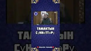 Тамактын суноттору