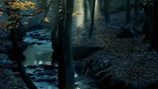 GOT : Hands of gold song - Ed Sheeran Cameo - WhatsApp Status