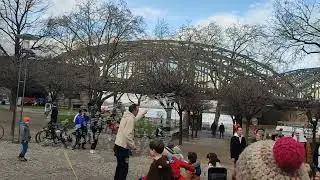 Детские развлечения на набережной Рейна