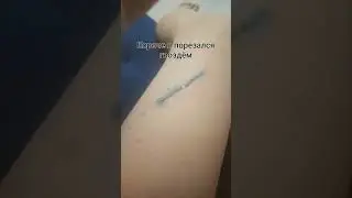 25 марта 2024 г.