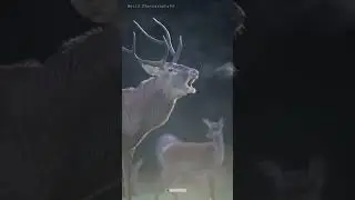 😮it's Breath&mouth 😮