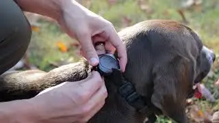 Aorkuler GPS Dog Tracker