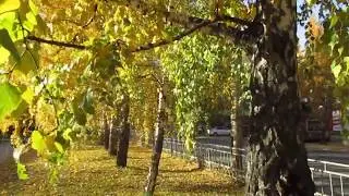 Гуляя по Екатеринбургу