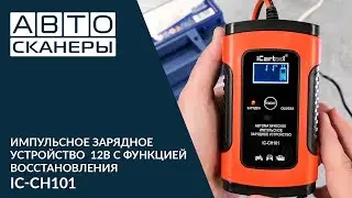 Обзор импульсного зарядного устройства 12В с функцией восстановления АКБ  IC-CH101