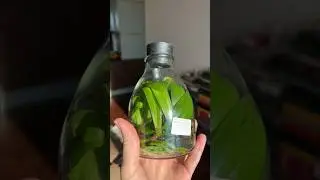 Орхидеи из ФЛАСКИ!!!😲 