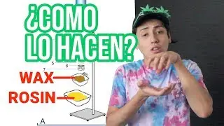 ¿QUÉ ES EL WAX? Lo que debes saber