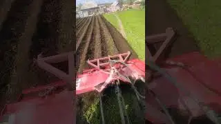 Т-40, фреза и зелёный огород.