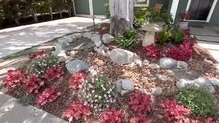 Native Garden Ideas