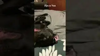 Хук в Ухо / Марк со мной