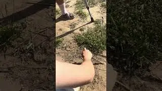 синяя бабушка рассказывает про сек$