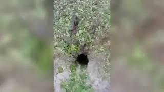 сегодня донецк укрнацисты обстреляли. погибла женщина и 16 ний подросток!