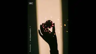 бользак - инструментал1
