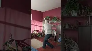 Боевое искусство нунтяку