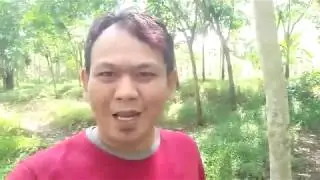 CEKLOK BLOK POMPA PENINGGALAN BELANDA