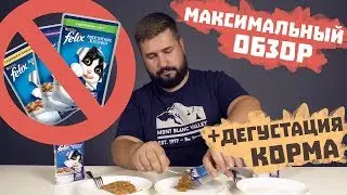 Felix wet cat food | review for cat food Nestle Purina Felix.