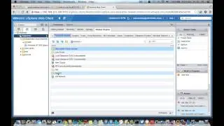 Using the vCenter Using the vCenter Orchestrator REST API