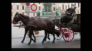 Слайд шоу Вена ,Хофбург