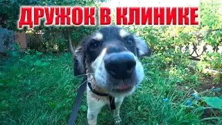 ПРОВЕДАЕМ ДРУЖКА И ДАЛЬШЕ В ПРИЮТ!! ДЕЛА НЕ ЖДУТ!