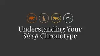 Understanding Your Sleep Chronotype