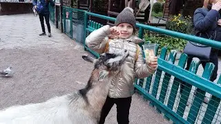 Там у лісі на узліссі