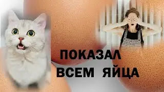 ПОКАЗАЛ ЯЙЦА В ЮТУБЕ