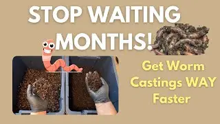 Part 1 How I Make Precompost for Worm Bins (Get Worm Castings WAY Faster!)  