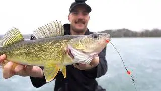 Thin ice and lots of fish