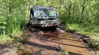Tinger застрял